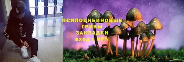 таблы Алзамай